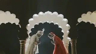 Same Day Edit Highlight 2025  | Sawai Madhopur | Art of devil