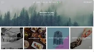 Lark - WordPress Magazine and Blog Theme        Pip Jordon