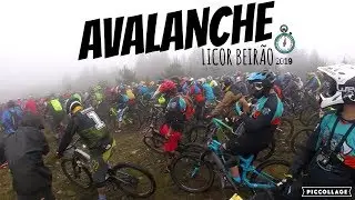 Avalanche Licor Beirão 2019 | Cube Portugal