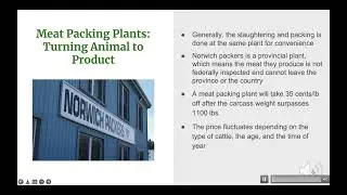 Ground Beef Supply chain in Canada
