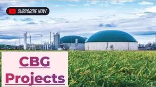 Educational / Beginner-Friendly&ldquo;CBG Plant Explained: &rdquo;🤔🌴🌾