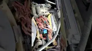 BMW injector wiring fault diagnose#injector #wiring #diagnose #ibtesam auto.