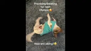 Break dancing❤️ inspired by my hero OLYMPIAN RAYGUN #puppy #pets #dance #olympics #pets