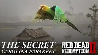 Red Dead Redemption 2 - How To Find The Carolina Parakeet And Secret Side Mission