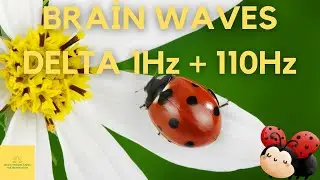 Brain Waves Delta 1Hz + 110Hz | Brain Waves Frequency | Binaural Beats 1Hz + Deep Sleep Brain Wave