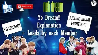 NCT DREAM : Yo Dream Explanation + Leads by each member 💚