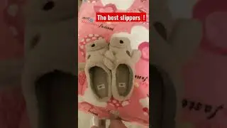 THE BEST SLIPPERS EVER!😱 (I really recommend!) Dog slippers🐶🐕🦮🐩🐕&zwj;🦺🐾🦴 #slippers #Dogs #cute