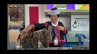 NAˬ TEHˉ YAˇ MIˇ AWˬ MOˍ  3ed Annual International Lahu new year Celebration (17-19January 2026)EP.2