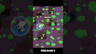 FREE RANK 5 DUO #brawlstars #popular #Mico #besttactic #games