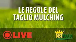 TAGLIO DEL PRATO MULCHING. LE REGOLE PER FARLO BENE.