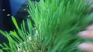 NEDEN HASIL YAPMALIYIZ?