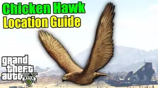 Where & How to Find Chicken Hawks in GTA 5