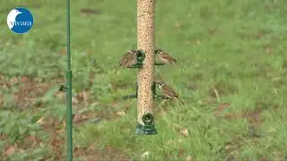 Voedersilo metaal 56 cm Groen