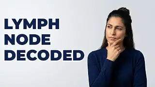 What Are The Main Parts Of A Lymph Node?