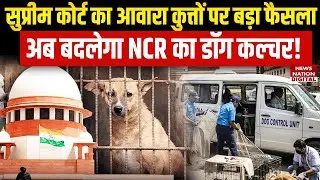 Supreme Court Verdict on Stray Dogs : सुप्रीम कोर्ट का बड़ा फैसला |अब टीका लगाकर छोड़े जाएंगे कुत्ते
