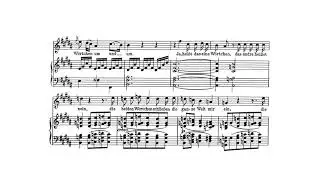Der Neugierige(F. Schubert) 성악반주 Piano Accompaniment