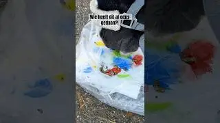 Schilderen met je paard, wie heeft het al gedaan?!