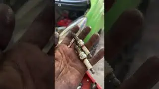 Engine tuneup #automobile #mechanic