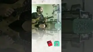 Arauco tiene una pena (Improv) / Boss RC-10R + Danelectro HoneyTone