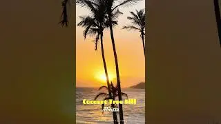Mirissa Coconut Tree Hill | Sri Lanka&rsquo;s Most Instagrammable Spot 🇱🇰✨ #mirissa #travel #tourist