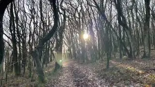 Near Dead Woman&rsquo;s Ditch