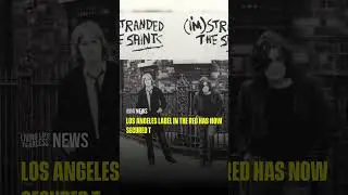 An Iconic Punk Rock Single Gets Its First Reissue #punk #punkrock #reissue #vinyl #news