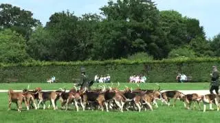 Tricolores à la Bourbansais