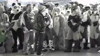 FC Furry Olympics 1