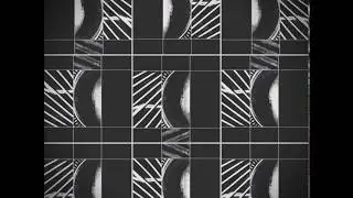 Accumortis - Punctuated Equilibrium