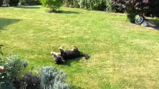 Neues von Burschi Video 1