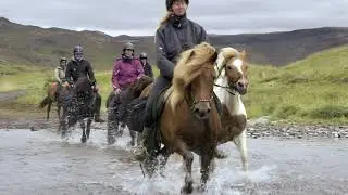 Horseback riding Iceland