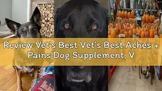 Review Vet's Best Vet&rsquo;s Best Aches + Pains Dog Supplement, Vet Formulated for Dog Occasional Discomf