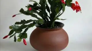 Fine Ceramics Fall Collection