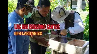 LBC Bee Breeding Center KPH Lakitan-BC