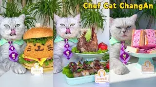 Join Me For The Warmest Food Videos Of Winter 2023!🤗🥘|Cat Cooking Food|Cute And Funny Cat