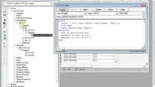 Oracle Form Builder Tutorials 1 - How to load data form Oracle and show