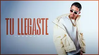 Dyonn - Tu Llegaste (Visualizer)