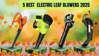 5 BEST Electric Leaf Blowers (2024) - Corded & Cordless Review