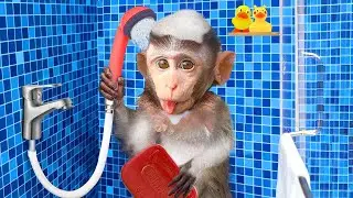 Monkey Banana Bim Bim takes a bath with two ducklings