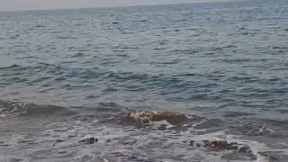 KALBA BEACH SHARJAH
