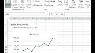 Excel 2013 Show or Hide Gridlines