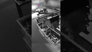 Взлом предприятия в Калгари заснят на камеру