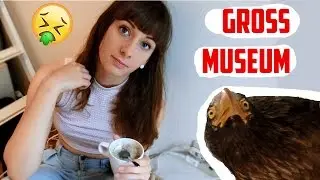 A Day in my Life in Tokyo! Bad Taxidermy, Gross Exhibitions, and Foooood