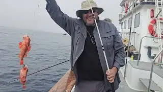 Game-Changing Fishing Equipment for Better Catches