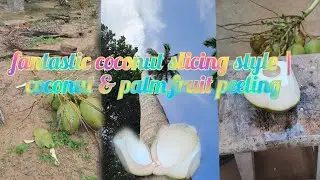 fantastic coconut slicing style | coconut & palm peel #shorts #coconut #trending #fruit #indianfood