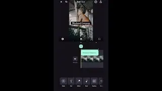 Text: Adding and Customizing