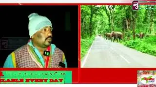 Wild elephant menace is continuing in various villages under the Rani Forest Range 