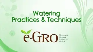 Watering Practices & Techniques