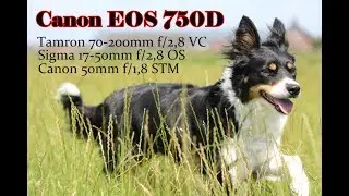 Canon EOS 750D + 50mm f/1,8 + Tamron 70-200mm f/2,8 + Sigma 17-50mm f/2,8