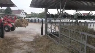 Ausbildungsberuf: Tierwirt --- Aus der Kurzfilmreihe: Landwirtschaftsberufe von Agroplant-Film